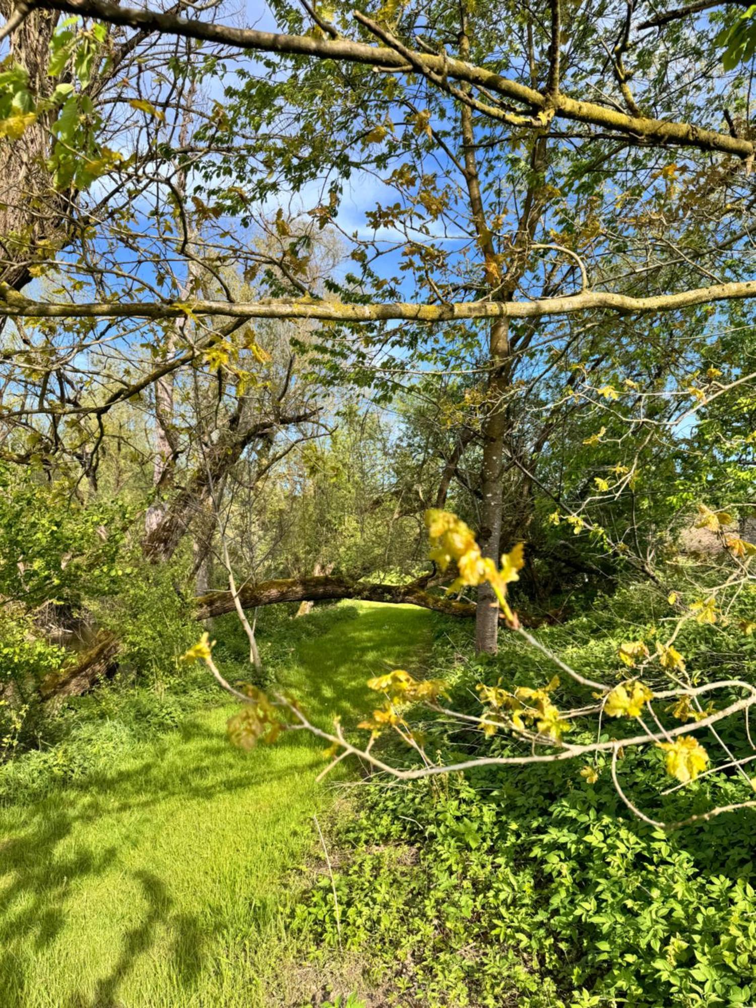 Am Flussgarten Eriskirch Extérieur photo