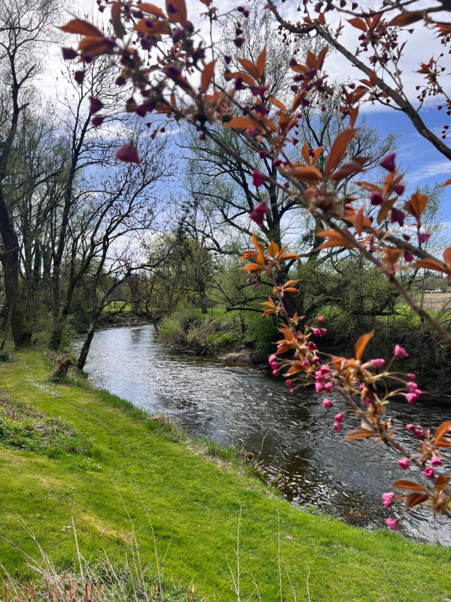Am Flussgarten Eriskirch Extérieur photo