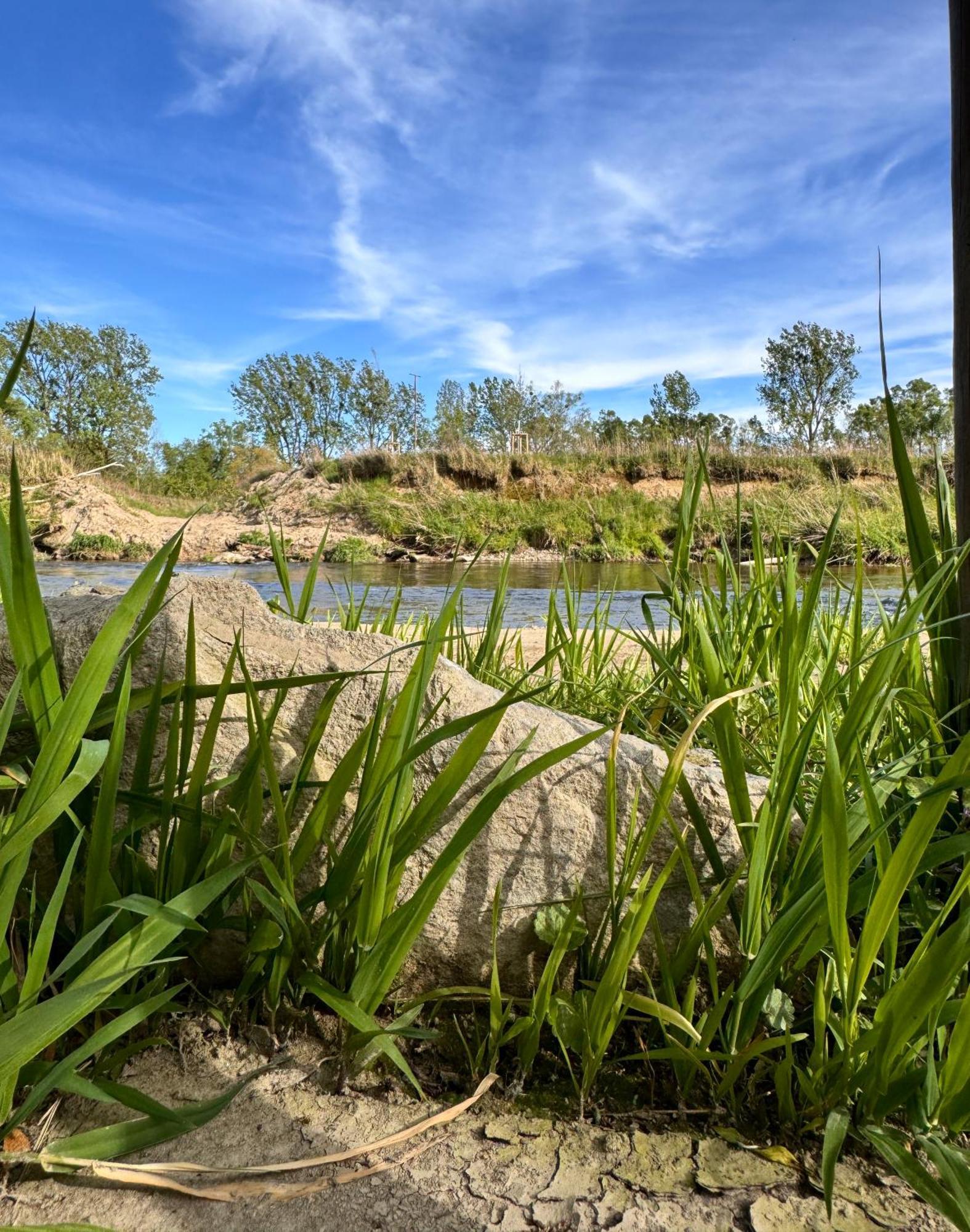 Am Flussgarten Eriskirch Extérieur photo