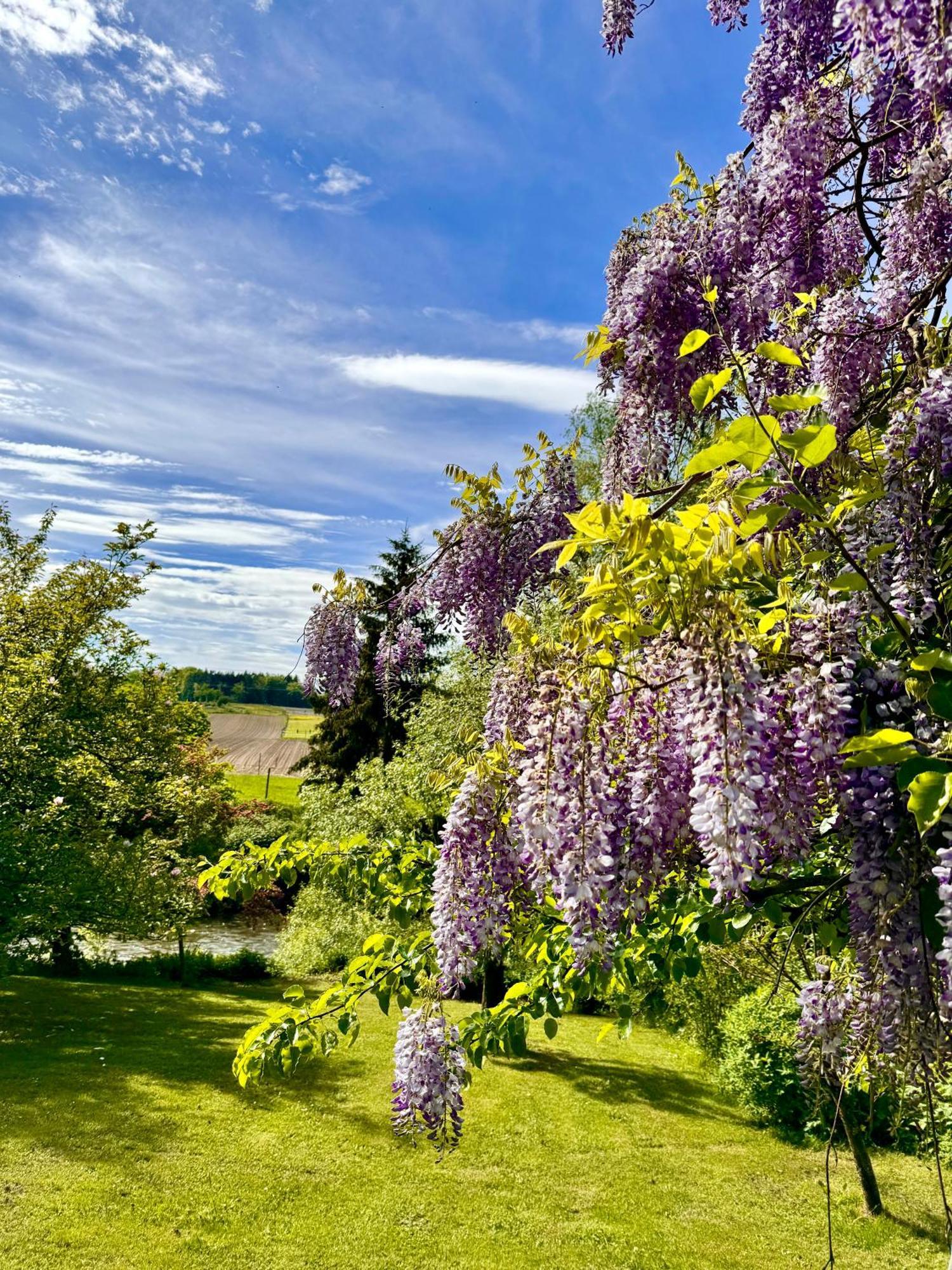 Am Flussgarten Eriskirch Extérieur photo